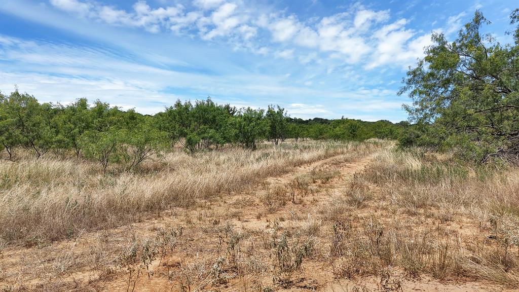 Tbd County Road 136 #59 Property Photo 17