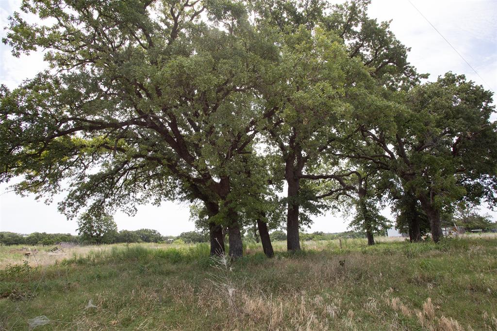 497 Big Sandy Road Property Photo 19
