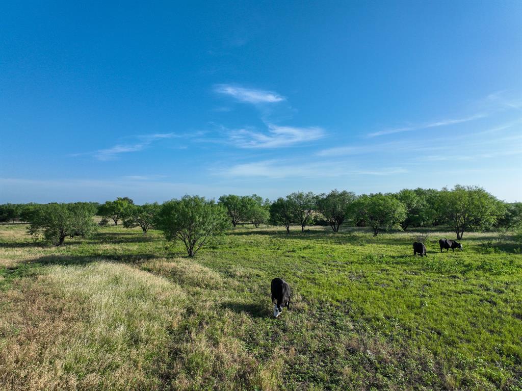 950 County Road 126 Property Photo 10