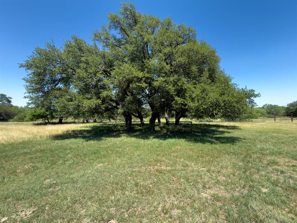 950 County Road 126 Property Photo 33