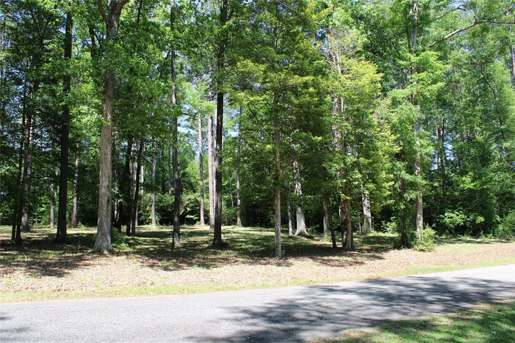 356 Woodsway Circle Property Photo 3