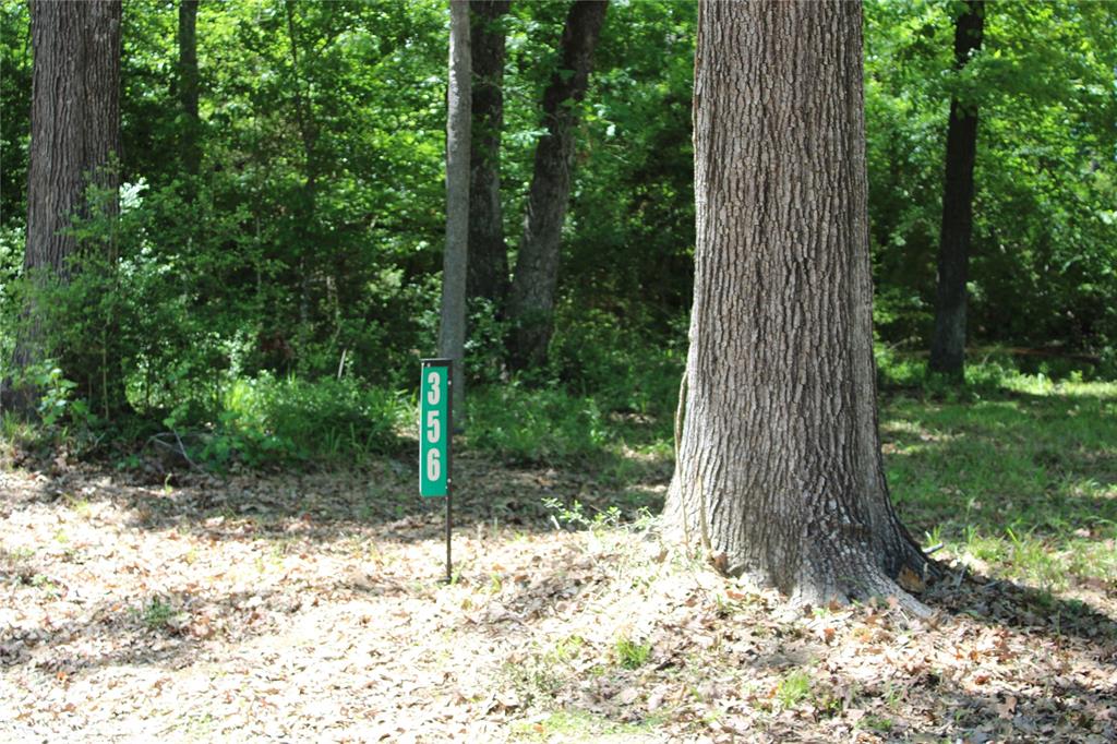 356 Woodsway Circle Property Photo 6