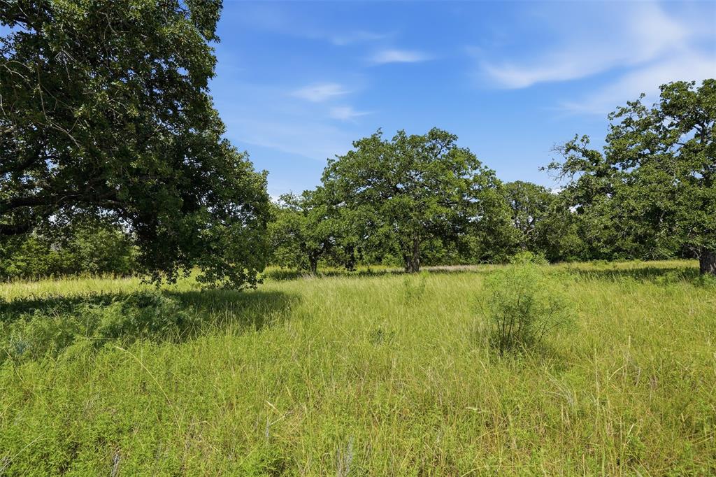 Lot 63 Mustang Ridge Property Photo 10