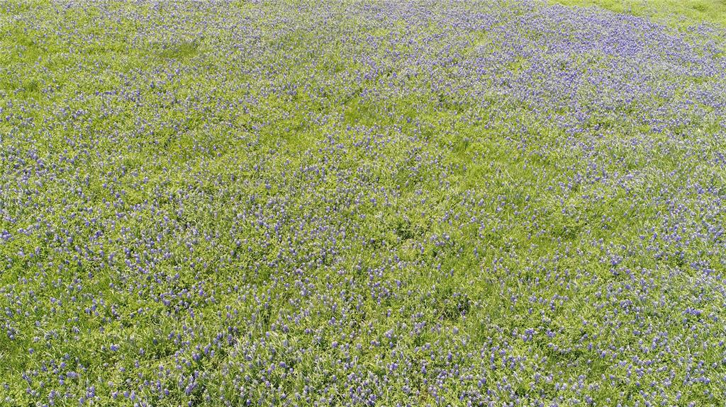 Tbd Fm 1126 Property Photo 4