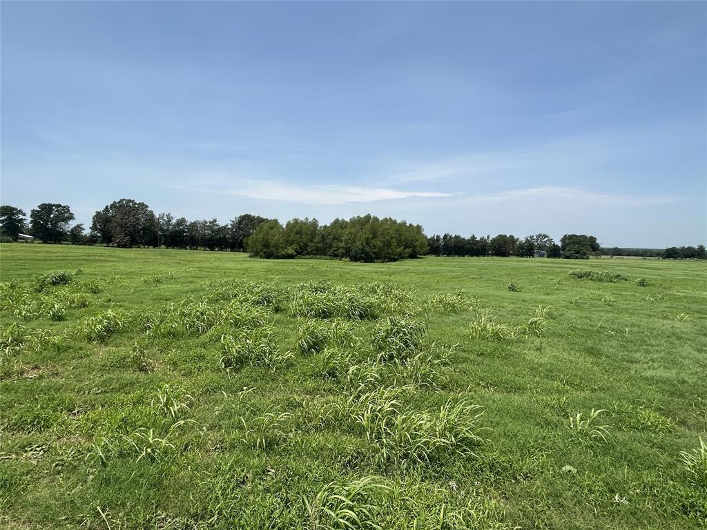 Lot 4 Cr 3385 S Fm 900 Property Photo 4