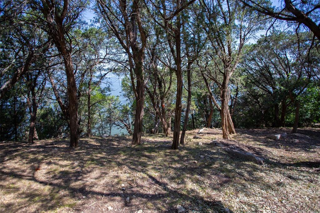 3105 San Gabriel Court Property Photo 15