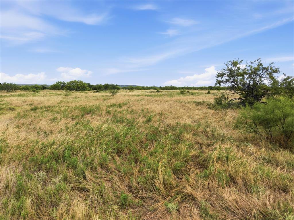Tbd State Highway 16 Property Photo 20
