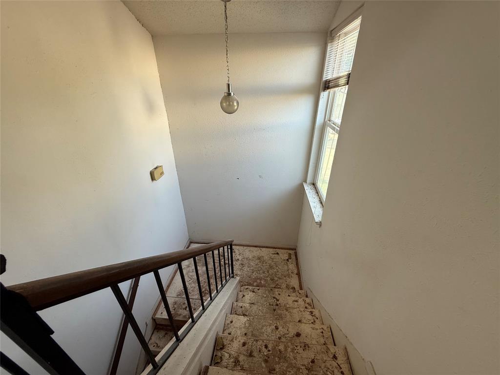 2916 Canis Circle Property Photo 15