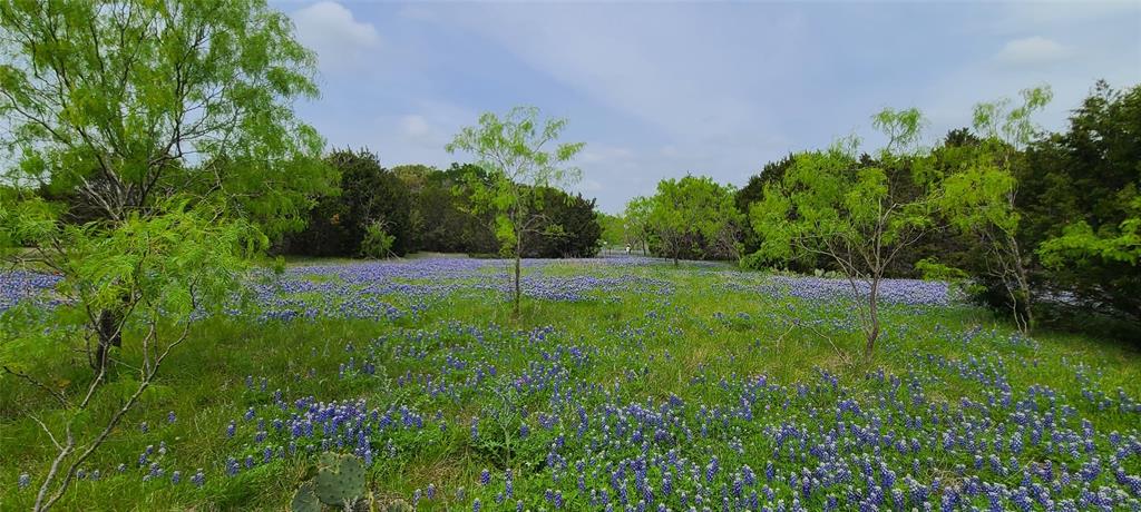 9680 Us Hwy 190 E Property Photo 1