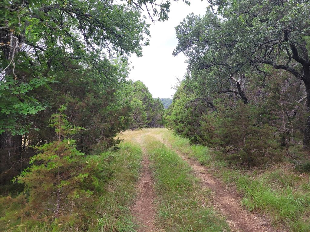 9680 Us Hwy 190 E Property Photo 2