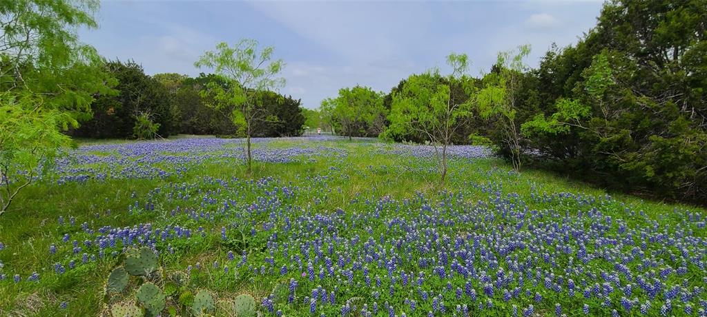 9680 Us Hwy 190 E Property Photo 5