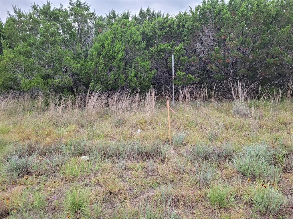 9680 Us Hwy 190 E Property Photo 26