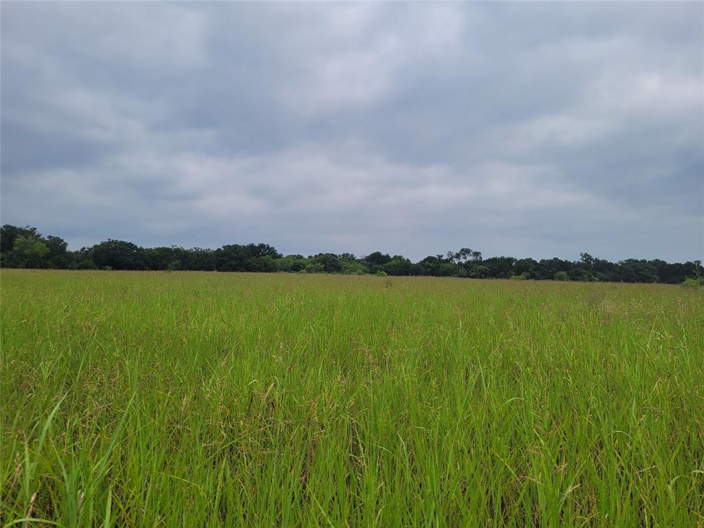 9680 Us Hwy 190 E Property Photo 27