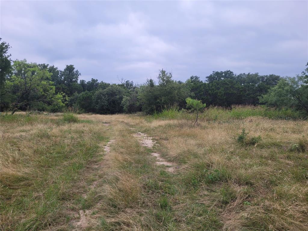 9680 Us Hwy 190 E Property Photo 31