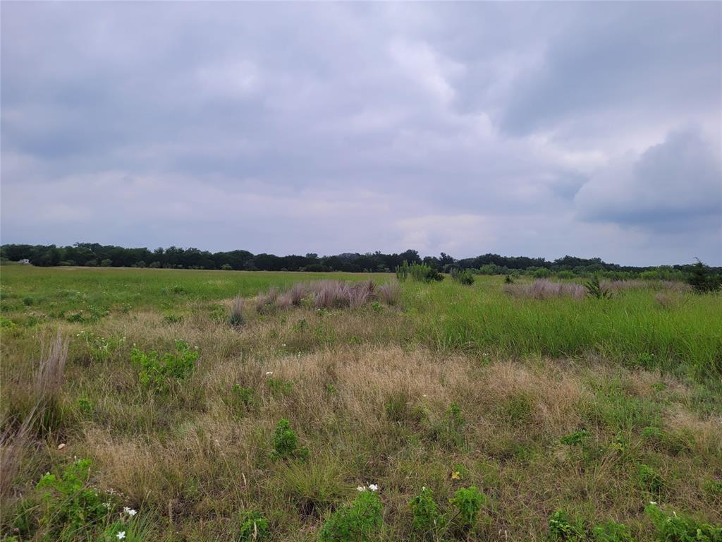 9680 Us Hwy 190 E Property Photo 33