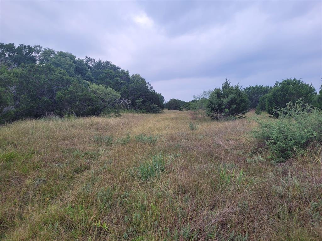 9680 Us Hwy 190 E Property Photo 36