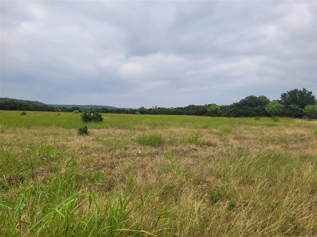 9680 Us Hwy 190 E Property Photo 39