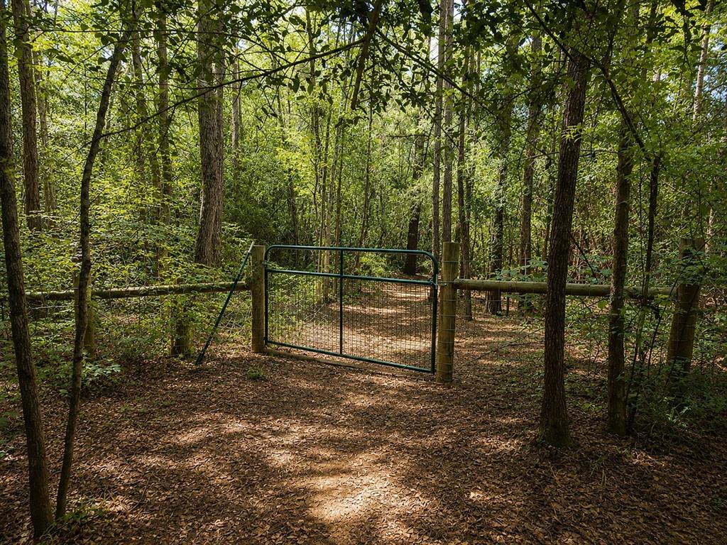 8909 Fm 1795 Property Photo 34