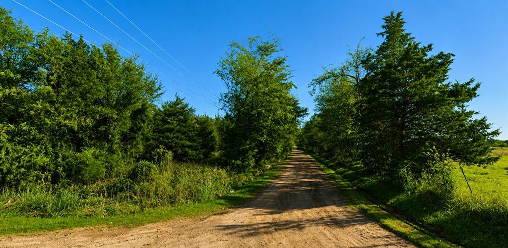 Lot 3 County Road 3358 Property Photo 7