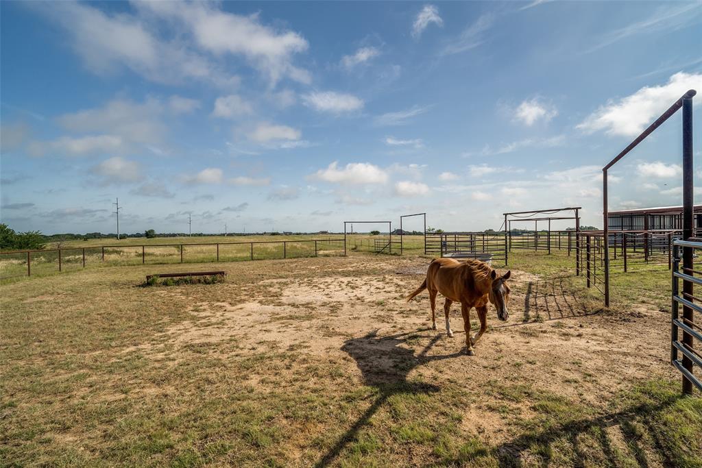 6825 Fm 920 Property Photo 9