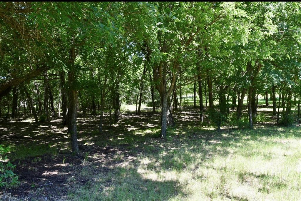 2955 Muirfield Property Photo 2