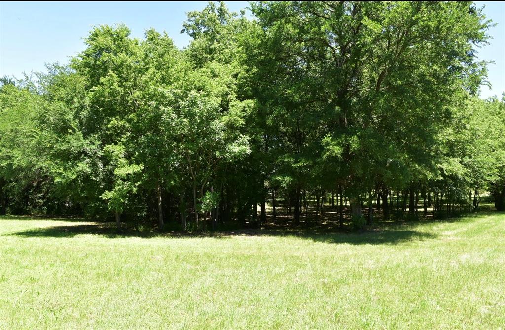 2955 Muirfield Property Photo 4
