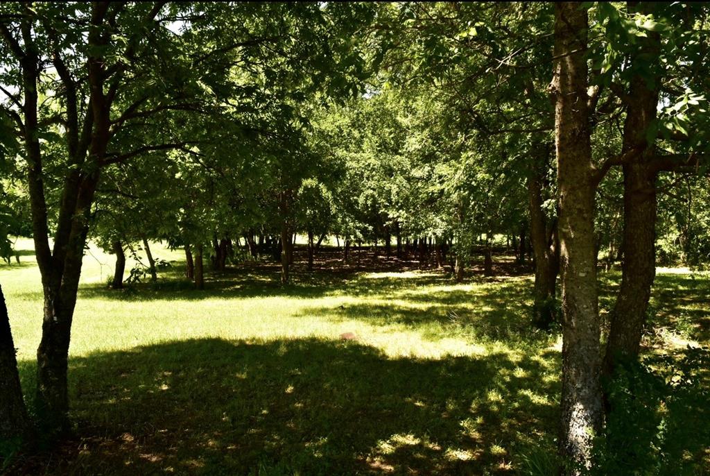 2955 Muirfield Property Photo 6