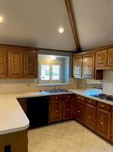 918 Spring Brook Drive Property Photo 7