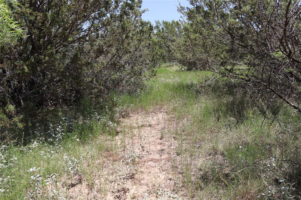 1234 Rr11 Recreational Road 11 Property Photo 25