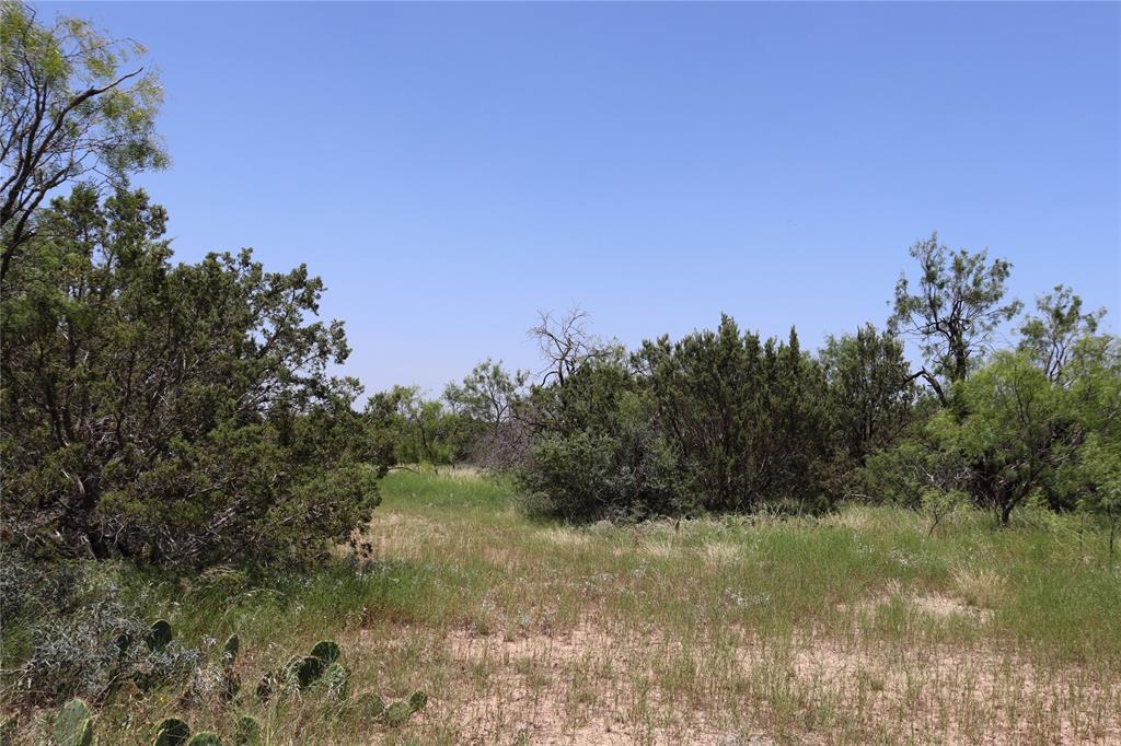1234 Rr11 Recreational Road 11 Property Photo 28