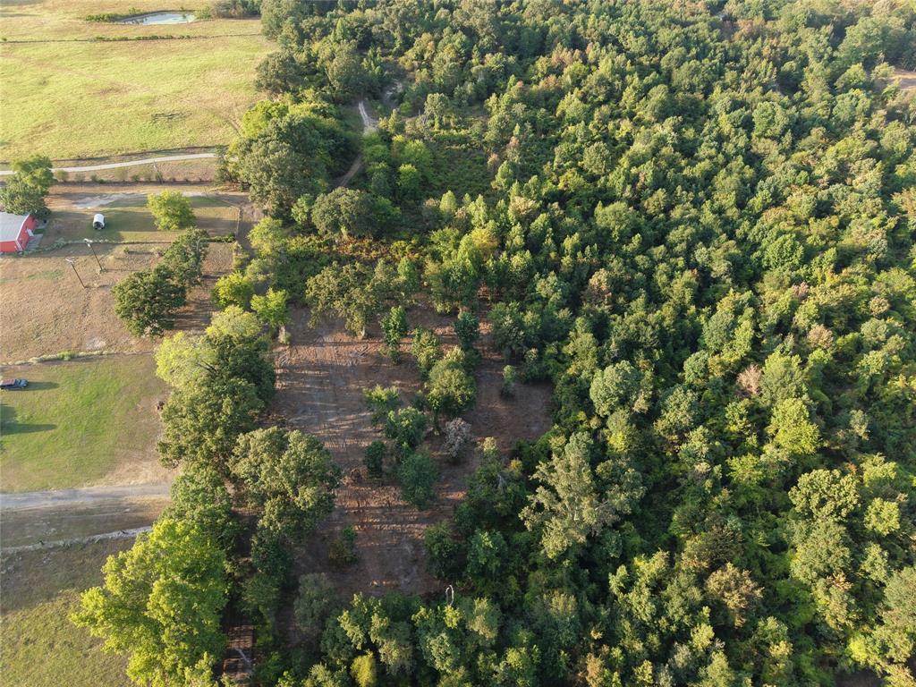 Tbd Cr 3211 Property Photo 1