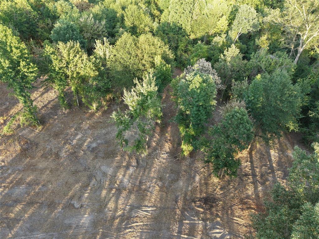 Tbd Cr 3211 Property Photo 3
