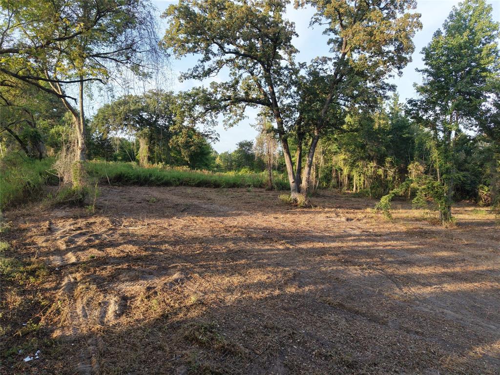 Tbd Cr 3211 Property Photo 5