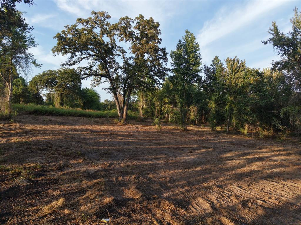 Tbd Cr 3211 Property Photo 6