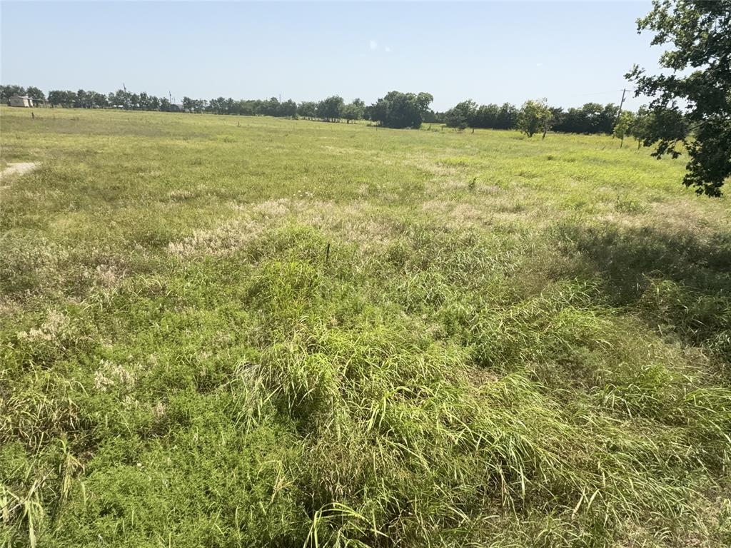 895 County Road 1006 Property Photo 6