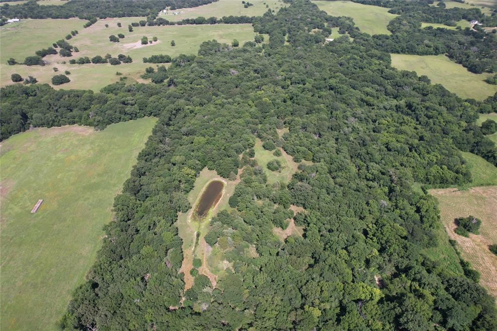 Tbd County Road 4719 Property Photo 15