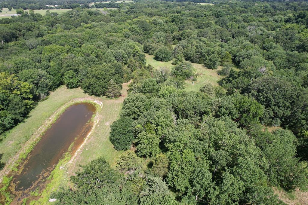 Tbd County Road 4719 Property Photo 17