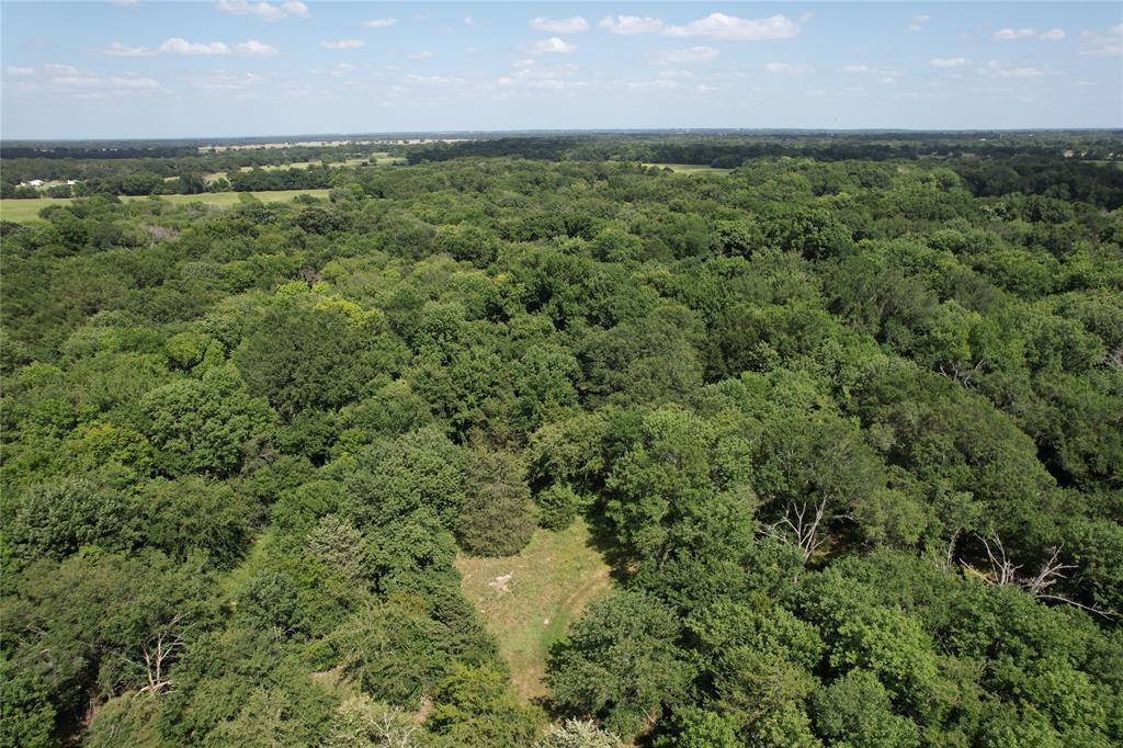 Tbd County Road 4719 Property Photo 19