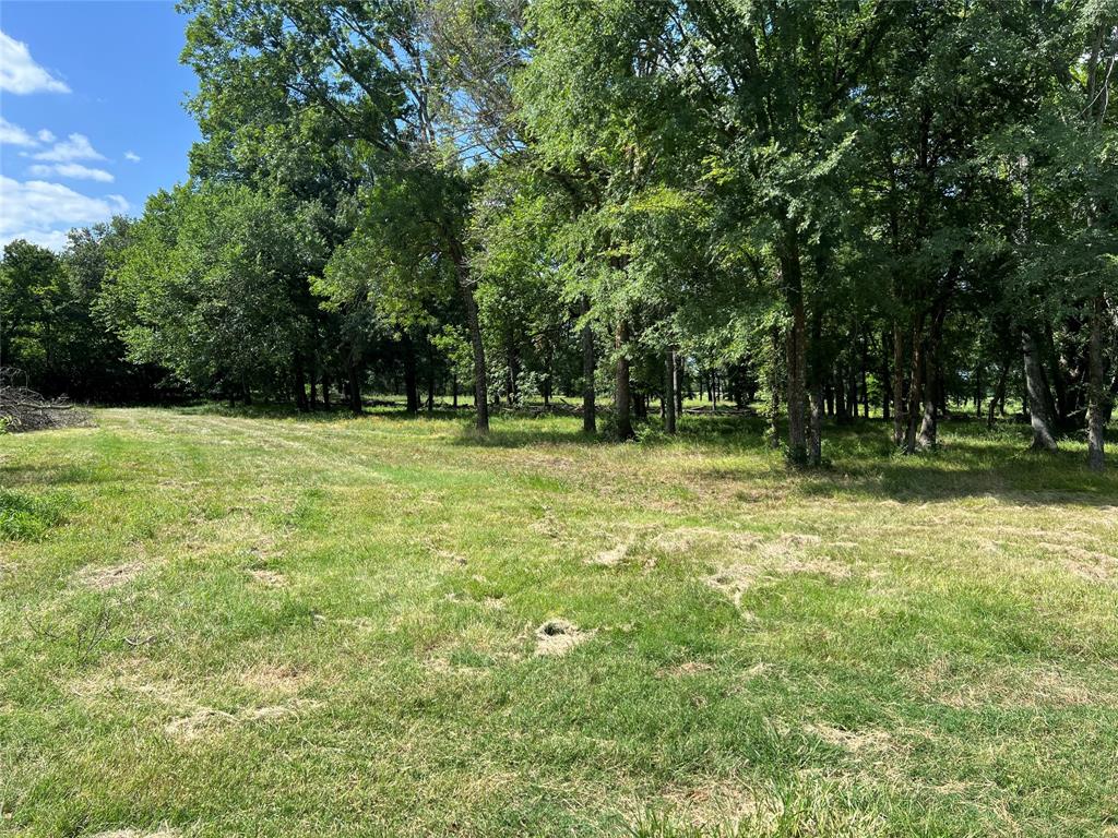 Tbd County Road 4719 Property Photo 23