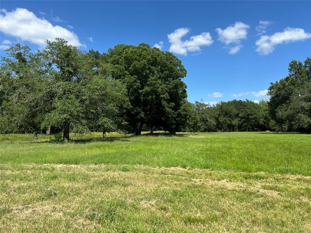 Tbd County Road 4719 Property Photo 25