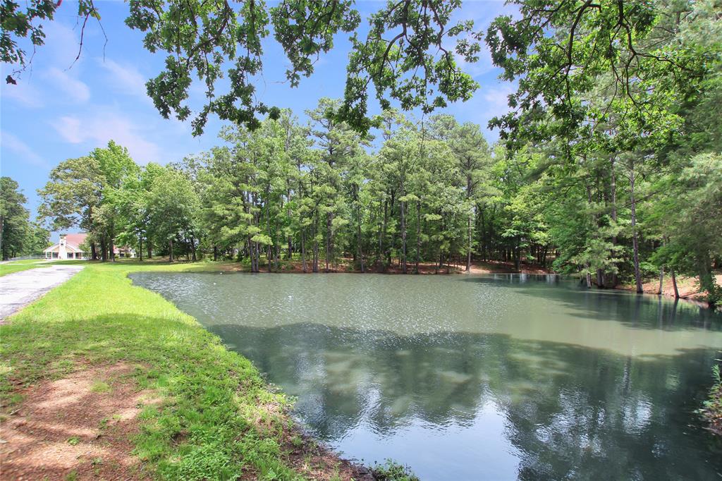 19413 Us Highway 79 Property Photo 4