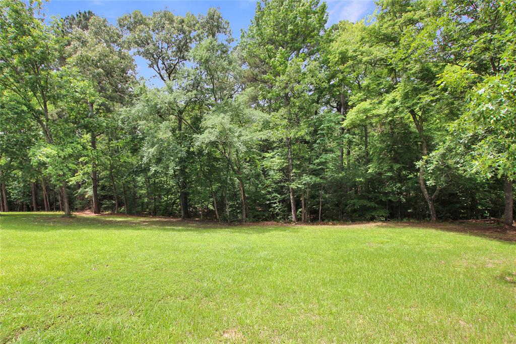 19413 Us Highway 79 Property Photo 5
