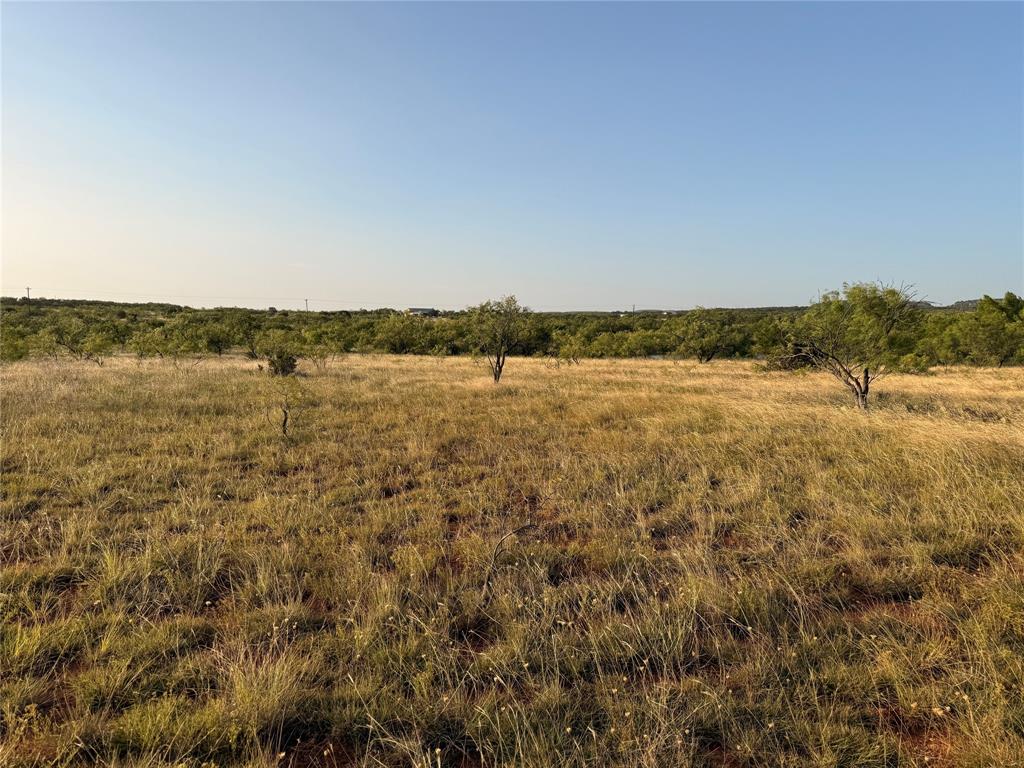 Tbd Tr 4 Fm 604 Property Photo 3