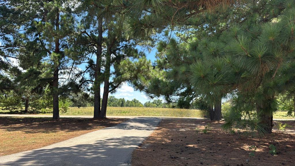 5337 Dusty Road Property Photo 3