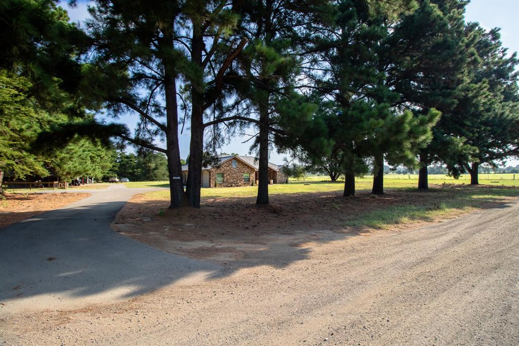 5337 Dusty Road Property Photo 29