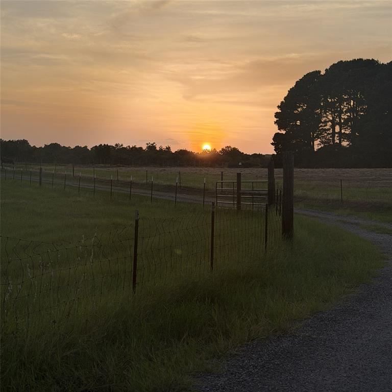 5337 Dusty Road Property Photo 33