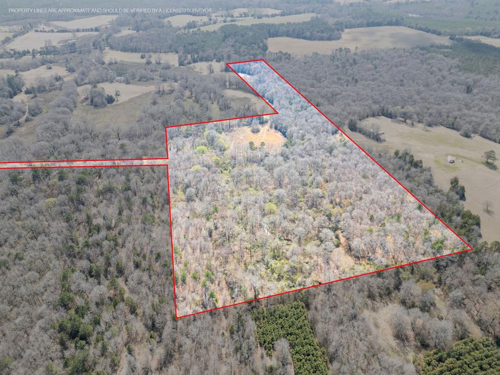 Tbd Stevens Road Property Photo 3