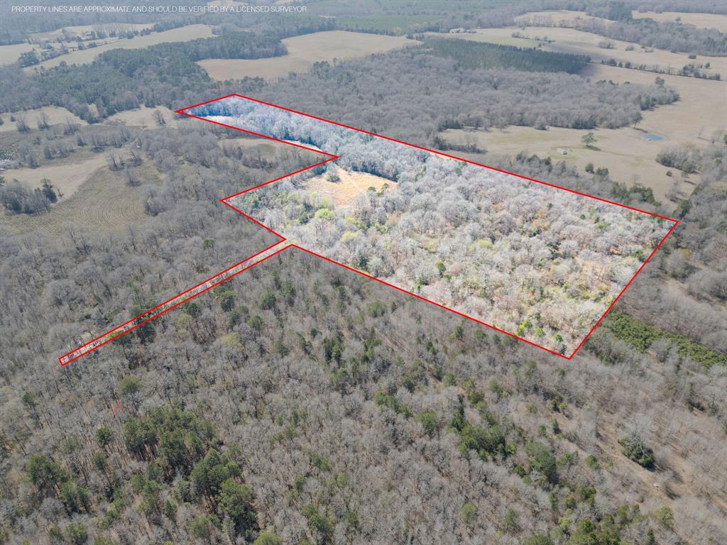 Tbd Stevens Road Property Photo 4