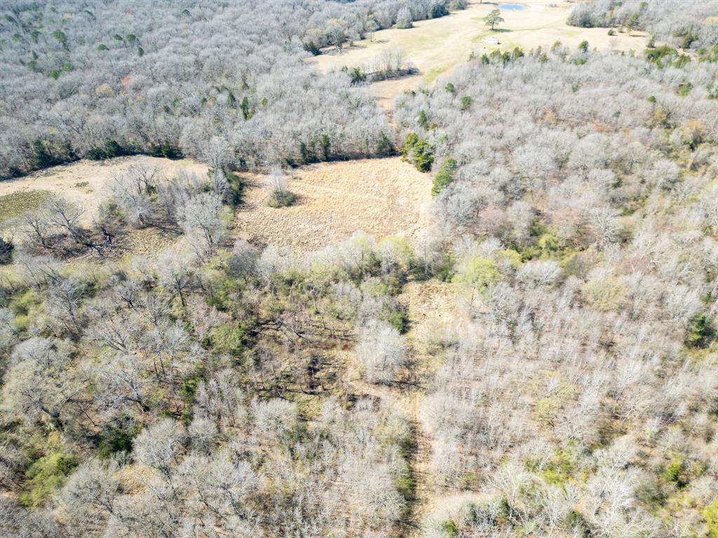 Tbd Stevens Road Property Photo 5