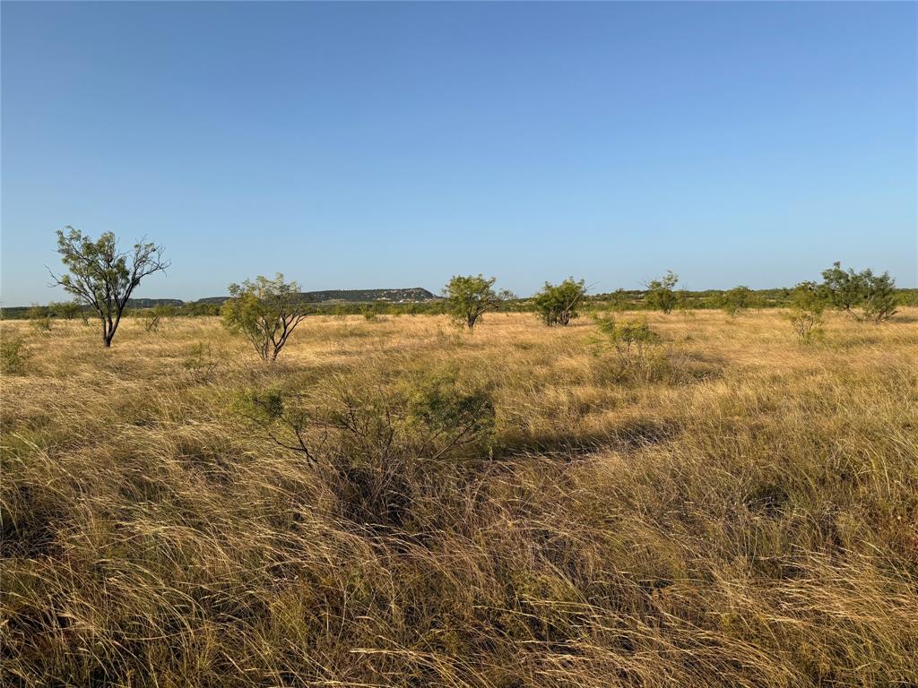 Tbd Tr 6 Fm 604 Property Photo 3